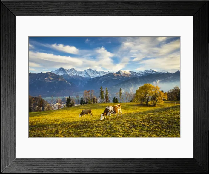 Framed Print : Eiger, Monch & Jungfrau mountains, Berner Oberland, Switzerland