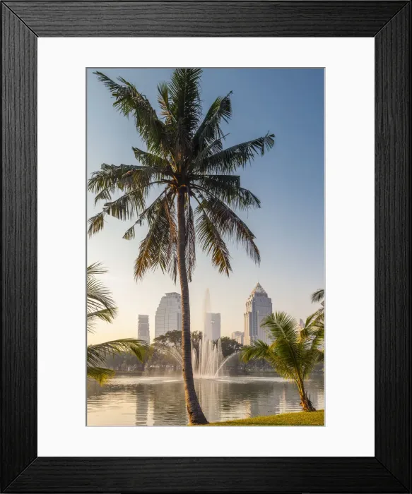 Framed Print : Thailand, Bangkok, Lumphini Area, Lumphini Park, city skyline at dawn Framed Print : Thailand, Bangkok, Lumphini Area, Lumphini Park, city skyline at dawn