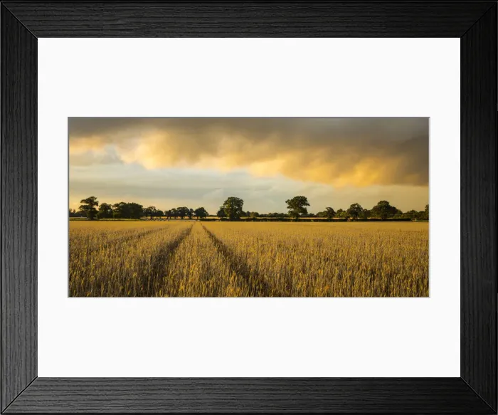Framed Print : Norfolk, England, UK