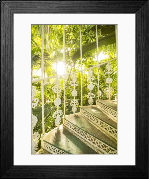 Framed Print : Palm House, Kew Gardens (Royal Botanic Gardens), Richmond, London, England, UK Framed Print : Palm House, Kew Gardens (Royal Botanic Gardens), Richmond, London, England, UK
