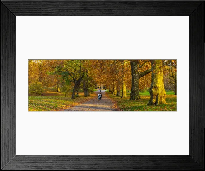 Framed Print : UK, England, London, Green Park in Autumn Framed Print : UK, England, London, Green Park in Autumn