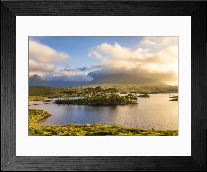 Framed Print : Connemara, County Galway, Connacht province, Ireland Lough Inagh lake with Pines Island Framed Print : Connemara, County Galway, Connacht province, Ireland Lough Inagh lake with Pines Island