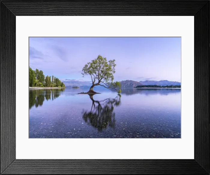 Framed Print : The lone tree in Lake Wanaka at dawn. Wanaka, Queenstown Lakes district, Otago region Framed Print : The lone tree in Lake Wanaka at dawn. Wanaka, Queenstown Lakes district, Otago region