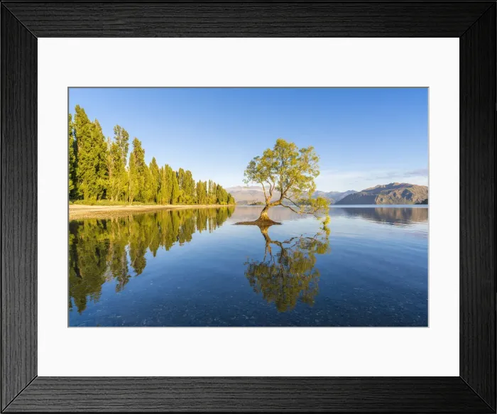 Framed Print : The lone tree in Lake Wanaka in the morning light. Wanaka, Queenstown Lakes district Framed Print : The lone tree in Lake Wanaka in the morning light. Wanaka, Queenstown Lakes district