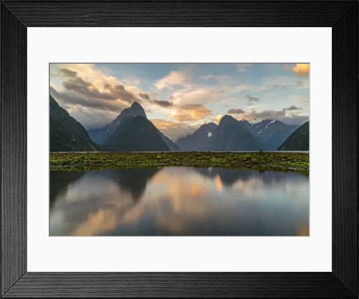 Framed Print : Reflection of Milford Sound with low tide at sunset in summer Framed Print : Reflection of Milford Sound with low tide at sunset in summer