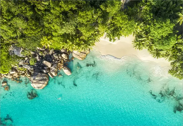 Aerial view of Anse Lazio beach. Praslin island, Seychelles, Africa
