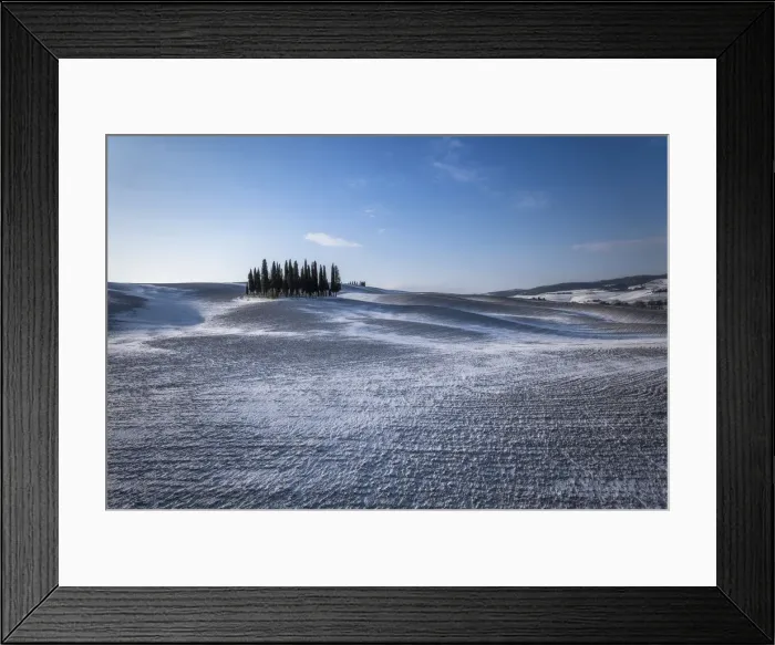 Framed Print : The Cypresses, Val d Orcia, San Quirico, Siena, Tuscany, Italy Framed Print : The Cypresses, Val d Orcia, San Quirico, Siena, Tuscany, Italy