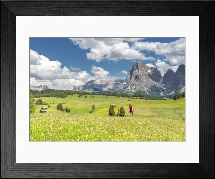 Framed Print : Alpe di Siusi / Seiser Alm, Dolomites, South Tyrol, Italy. (MR) Framed Print : Alpe di Siusi / Seiser Alm, Dolomites, South Tyrol, Italy. (MR)