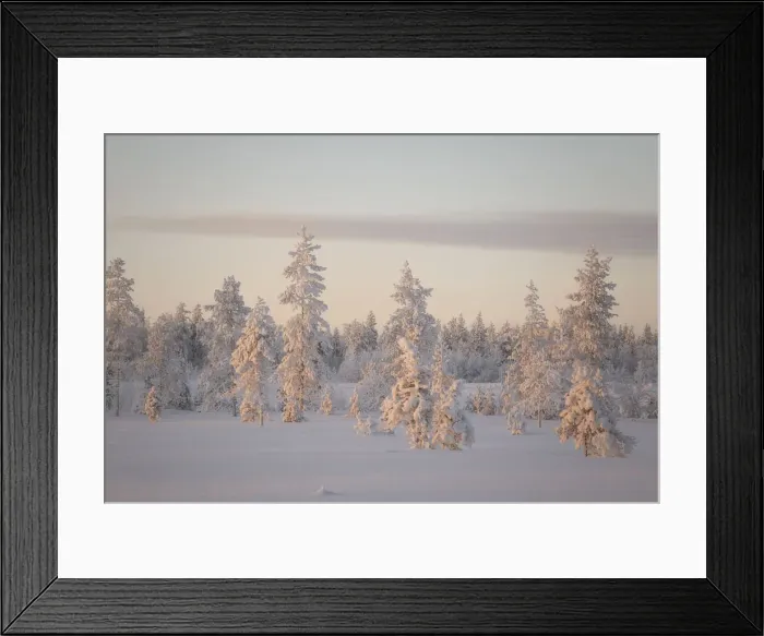 Framed Print : Sunrise on frozen forest covered with snow, Luosto, Sodankyla municipality, Lapland Framed Print : Sunrise on frozen forest covered with snow, Luosto, Sodankyla municipality, Lapland