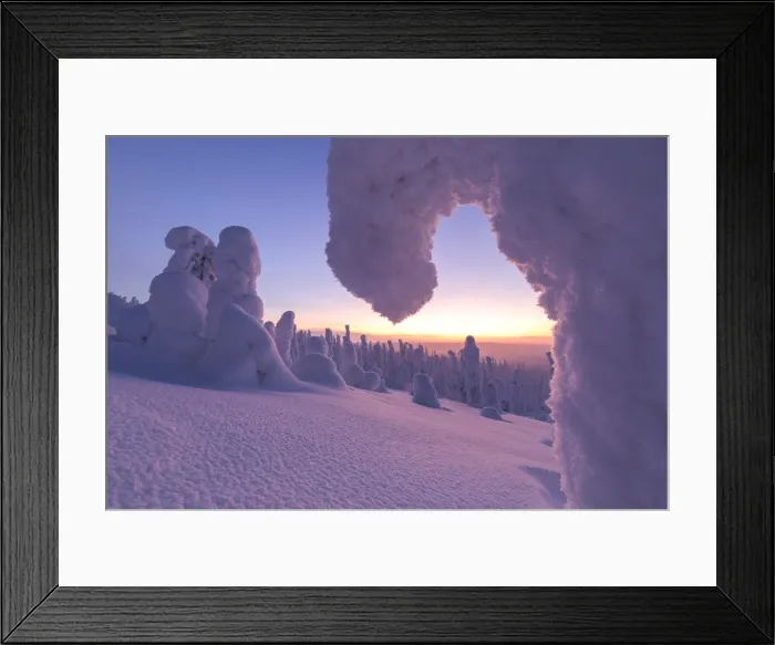 Framed Print : Sunrise on frozen trees, Riisitunturi National Park, Posio, Lapland, Finland Framed Print : Sunrise on frozen trees, Riisitunturi National Park, Posio, Lapland, Finland