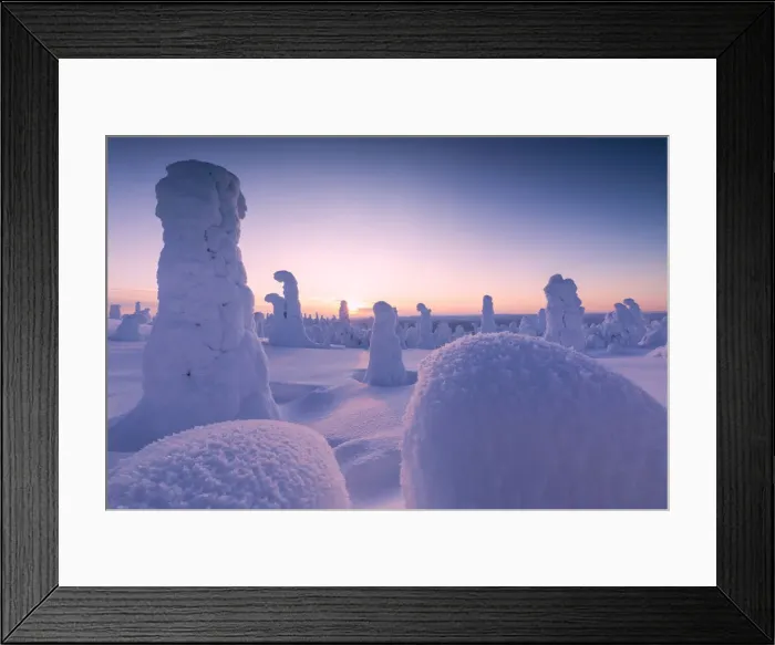 Framed Print : Colorful dusk on the frozen trees, Riisitunturi National Park, Posio, Lapland, Finland