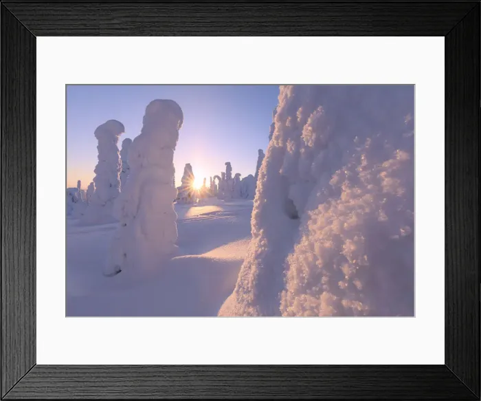 Framed Print : Sun rays on frozen trees, Riisitunturi National Park, Posio, Lapland, Finland Framed Print : Sun rays on frozen trees, Riisitunturi National Park, Posio, Lapland, Finland