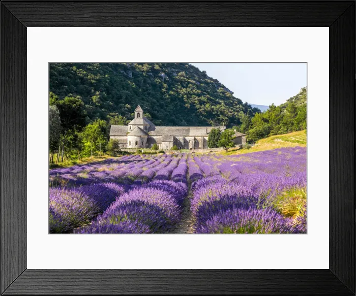 Framed Print : France, Provence Alps Cote d Azur, Haute Provence, Cistercian monastery of Senanque Framed Print : France, Provence Alps Cote d Azur, Haute Provence, Cistercian monastery of Senanque