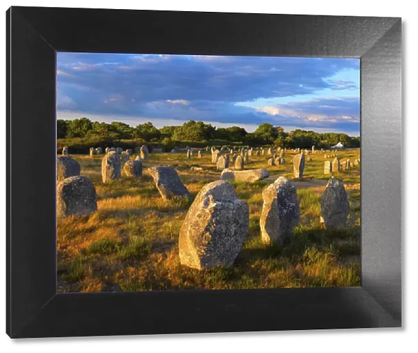 France, Brittany, MorbihanCarnac, megalithic menhir alignments of Menec, wide view