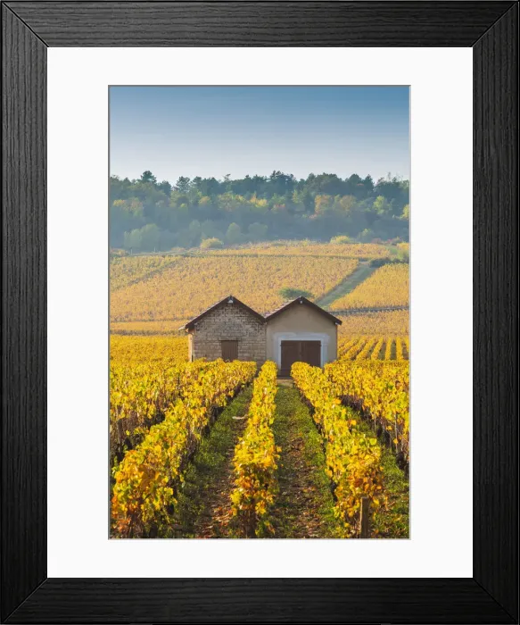 Framed Print : France, Bourgogne-Franche-Comte, Burgundy, Cote-d Or, Cote de Beaune Framed Print : France, Bourgogne-Franche-Comte, Burgundy, Cote-d Or, Cote de Beaune