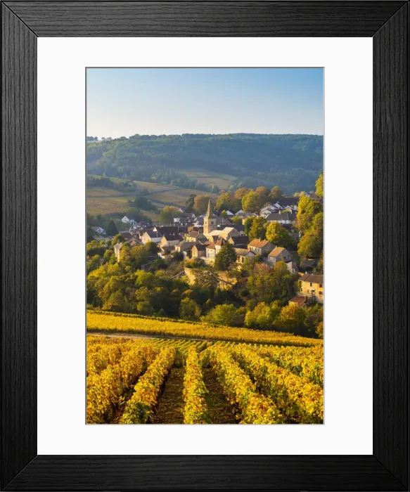 Framed Print : France, Bourgogne-Franche-Comte, Burgundy, Cote-d Or, Pernand-Vergelesses Framed Print : France, Bourgogne-Franche-Comte, Burgundy, Cote-d Or, Pernand-Vergelesses