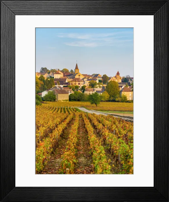 Framed Print : France, Bourgogne-Franche-Comte, Burgundy, Cote-d Or, Monthelie Framed Print : France, Bourgogne-Franche-Comte, Burgundy, Cote-d Or, Monthelie