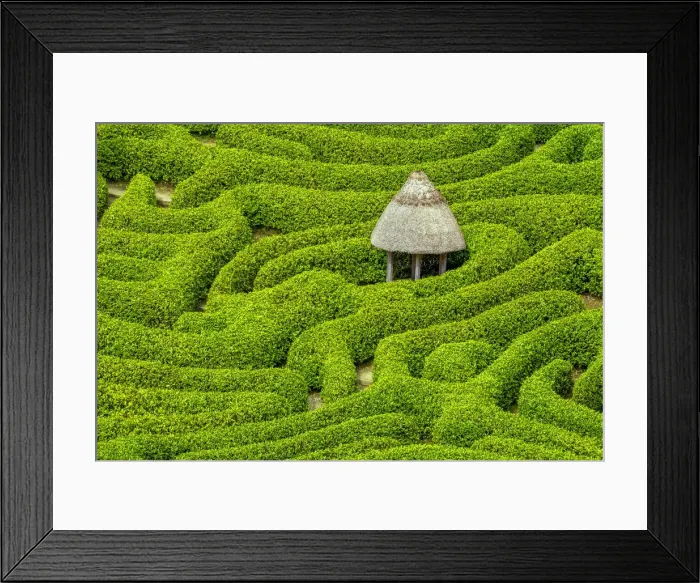 Framed Print : Garden Maze at Glendurgan Gardens, Falmouth, Cornwall, England Framed Print : Garden Maze at Glendurgan Gardens, Falmouth, Cornwall, England