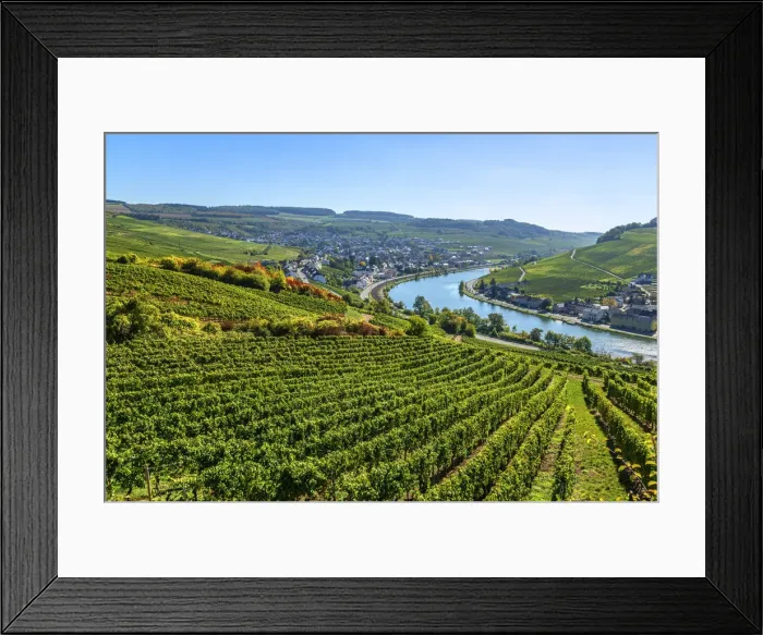Framed Print : Nittel, Mosel valley, Rhineland-Palatinate, Germany Framed Print : Nittel, Mosel valley, Rhineland-Palatinate, Germany