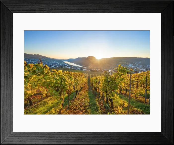 Framed Print : Sunset at Nittel, Mosel valley, Rhineland-Palatinate, Germany Framed Print : Sunset at Nittel, Mosel valley, Rhineland-Palatinate, Germany