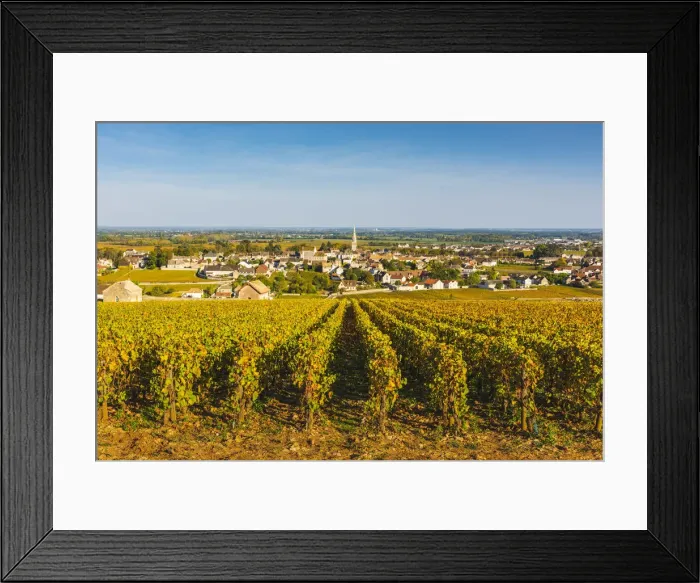 Framed Print : France, Bourgogne-Franche-Comte, Burgundy, Cote-d Or, Meursault