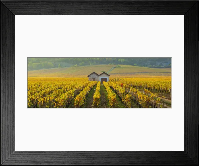 Framed Print : France, Bourgogne-Franche-Comte, Burgundy, Cote-d Or, Cote de Beaune