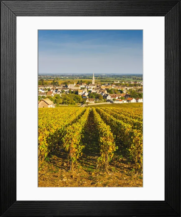 Framed Print : France, Bourgogne-Franche-Comte, Burgundy, Cote-d Or, Meursault Framed Print : France, Bourgogne-Franche-Comte, Burgundy, Cote-d Or, Meursault