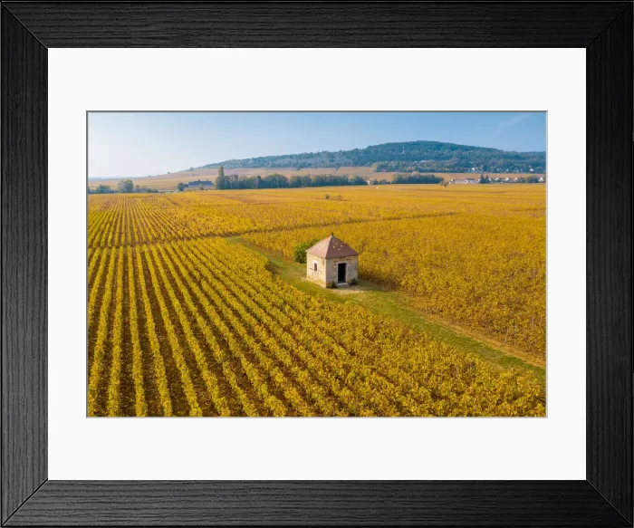 Framed Print : France, Bourgogne-Franche-Comte, Burgundy, Cote-d Or, Cote de Beaune Framed Print : France, Bourgogne-Franche-Comte, Burgundy, Cote-d Or, Cote de Beaune
