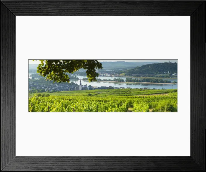 Framed Print : View over vineyards, Rudesheim, Rhineland-Palatinate, Germany Framed Print : View over vineyards, Rudesheim, Rhineland-Palatinate, Germany