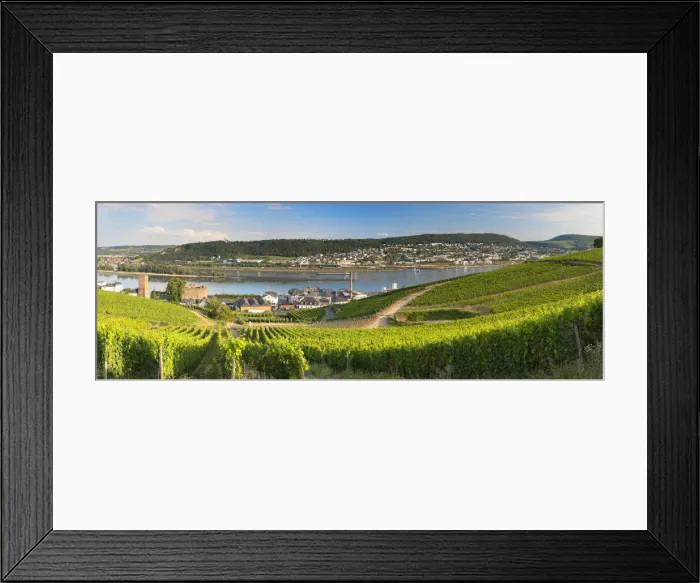 Framed Print : Vineyards and River Rhine, Rudesheim, Rhineland-Palatinate, Germany Framed Print : Vineyards and River Rhine, Rudesheim, Rhineland-Palatinate, Germany