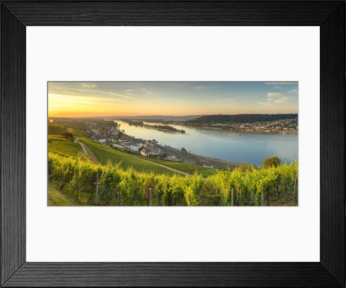Framed Print : Vineyards and River Rhine at sunrise, Rudesheim, Rhineland-Palatinate, Germany Framed Print : Vineyards and River Rhine at sunrise, Rudesheim, Rhineland-Palatinate, Germany