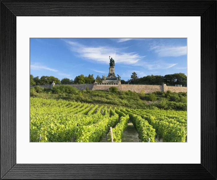 Framed Print : Vineyards and Niederwalddenkmal monument, Rudesheim, Rhineland-Palatinate, Germany Framed Print : Vineyards and Niederwalddenkmal monument, Rudesheim, Rhineland-Palatinate, Germany