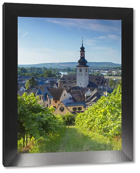 Vineyards and St Jacobs Church, Rudesheim, Rhineland-Palatinate, Germany
