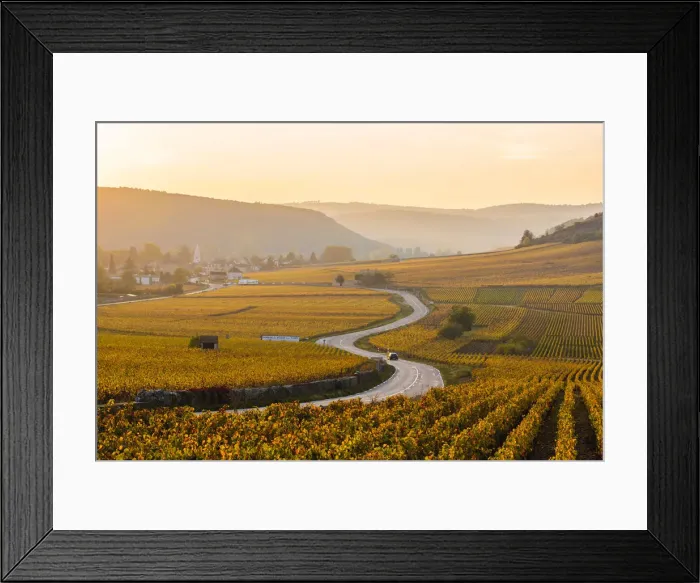Framed Print : France, Bourgogne-Franche-Comte, Burgundy, Cote-d Or, Cote de Beaune vineyards Framed Print : France, Bourgogne-Franche-Comte, Burgundy, Cote-d Or, Cote de Beaune vineyards