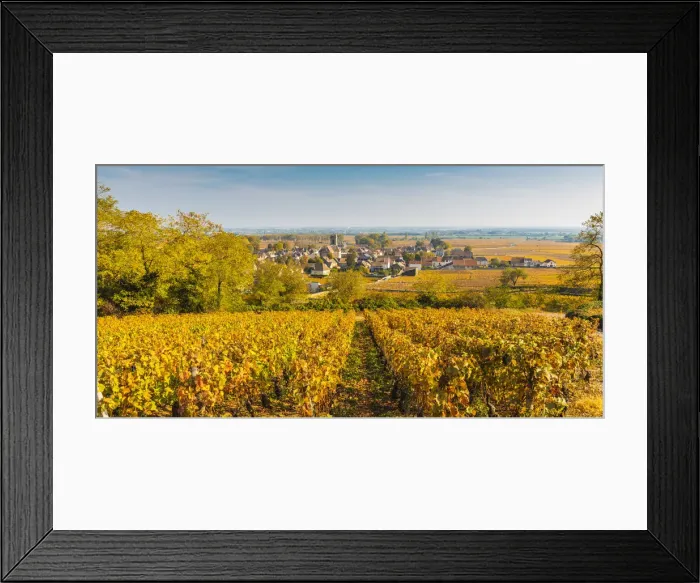 Framed Print : France, Bourgogne-Franche-Comte, Burgundy, Cote-d Or, Pommard Framed Print : France, Bourgogne-Franche-Comte, Burgundy, Cote-d Or, Pommard