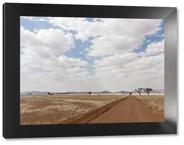 Africa, Namibia, Namib Rand area. Road in the desert