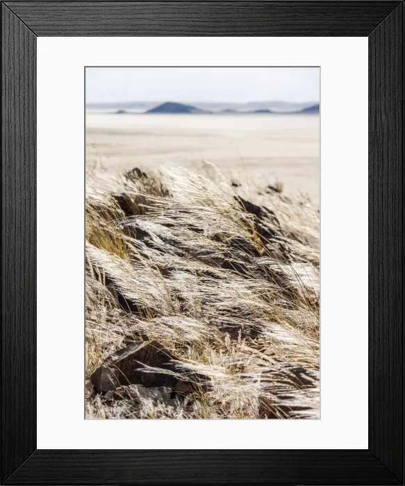 Framed Print : Africa, Namibia, Namib Rand area. Farm Kanaan. Silvery shiny grass