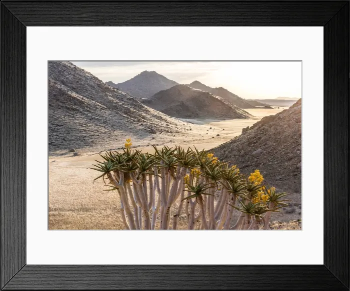 Framed Print : Africa, Namibia, Namib Rand area. Farm Kanaan