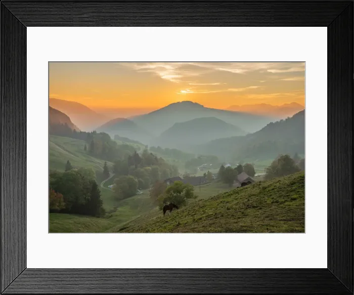 Framed Print : Horses near Belchenflue, Solothurn, Switzerland Framed Print : Horses near Belchenflue, Solothurn, Switzerland