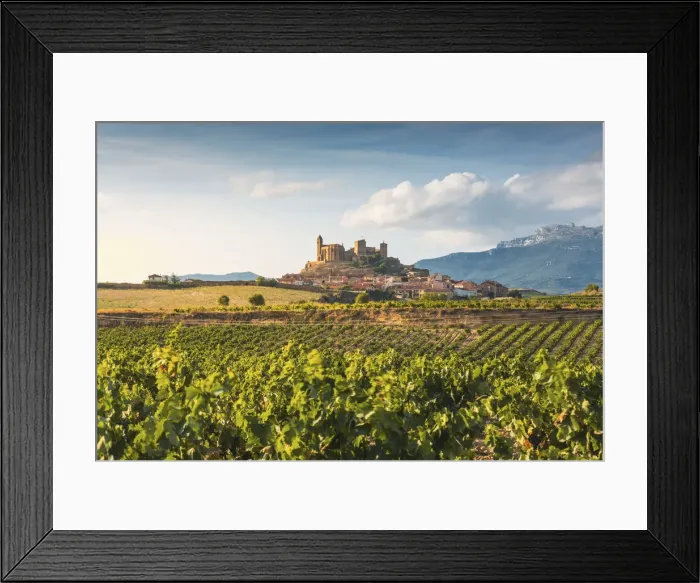 Framed Print : Spain, La Rioja, San Vicente de la Sonsierra. Lush vineyards in summer Framed Print : Spain, La Rioja, San Vicente de la Sonsierra. Lush vineyards in summer