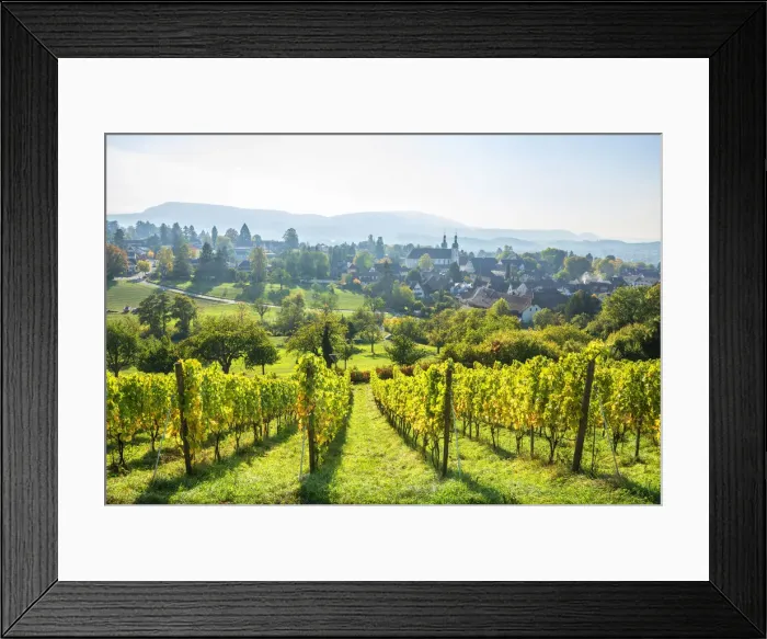 Framed Print : Arlesheim, Basel-Country, Switzerland