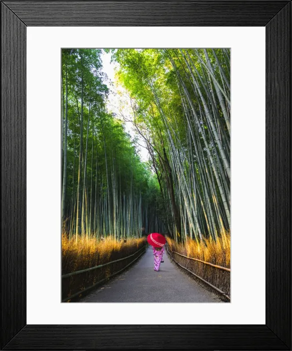Framed Print : Arashiyama, Kyoto, Kyoto prefecture, Kansai region, Japan Framed Print : Arashiyama, Kyoto, Kyoto prefecture, Kansai region, Japan