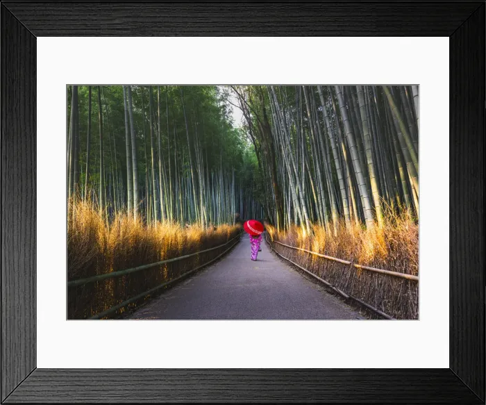 Framed Print : Arashiyama, Kyoto, Kyoto prefecture, Kansai region, Japan Framed Print : Arashiyama, Kyoto, Kyoto prefecture, Kansai region, Japan
