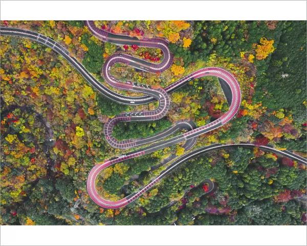 Scenic mountain road, Izu National Park, Honshu, Japan. Aerial view