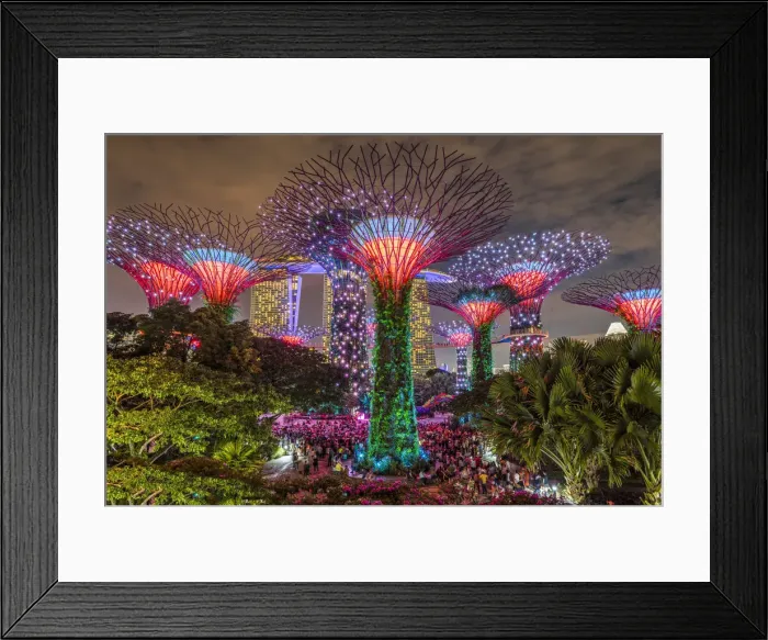 Framed Print : The Supertree Grove light show at Gardens by the Bay nature park, Singapore Framed Print : The Supertree Grove light show at Gardens by the Bay nature park, Singapore