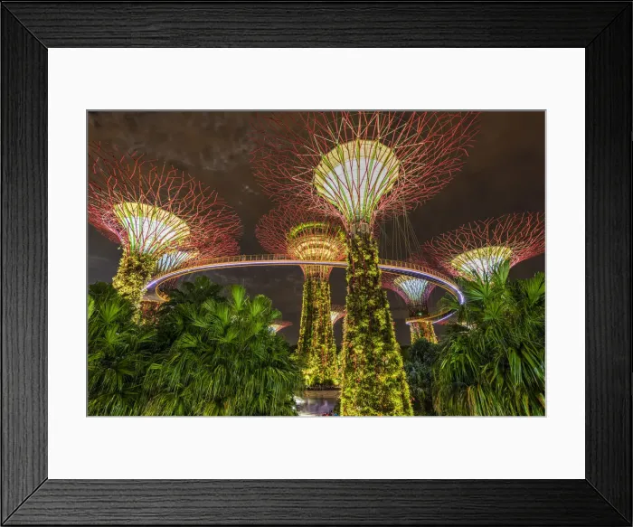Framed Print : The Supertree Grove light show at Gardens by the Bay nature park, Singapore Framed Print : The Supertree Grove light show at Gardens by the Bay nature park, Singapore
