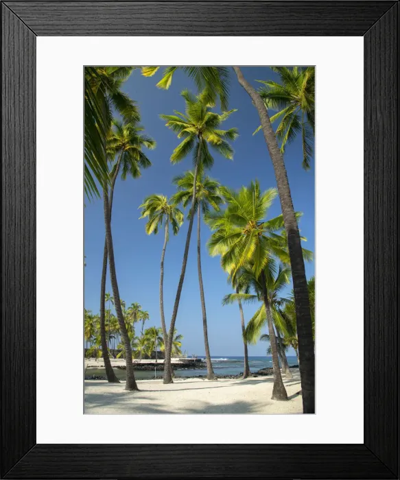 Framed Print : USA; Hawaii; Big Island, Pu uhonua o Honaunau; National Park; The City of Refuge Framed Print : USA; Hawaii; Big Island, Pu uhonua o Honaunau; National Park; The City of Refuge