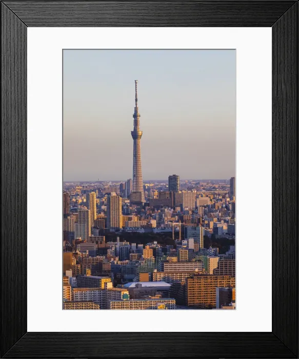 Framed Print : Japan, Honshu, Tokyo, Toyosu Area Skyline and Skytree Tower Framed Print : Japan, Honshu, Tokyo, Toyosu Area Skyline and Skytree Tower