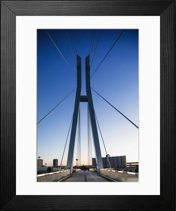 Framed Print : Japan, Honshu, Tokyo, Toyosu, Shinonome, Tatsuma Sakurabashi Bridge Framed Print : Japan, Honshu, Tokyo, Toyosu, Shinonome, Tatsuma Sakurabashi Bridge
