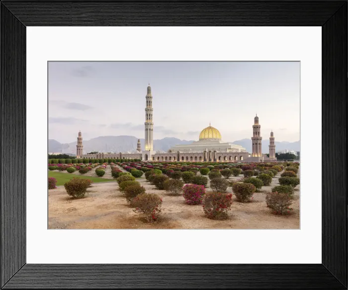 Framed Print : A view of the mosque and gardens illuminated in the evening, Sultan Qaboos grand mosque Framed Print : A view of the mosque and gardens illuminated in the evening, Sultan Qaboos grand mosque